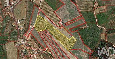 listing-picture-0