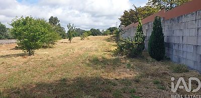 listing-picture-0