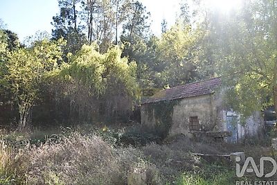 listing-picture-0