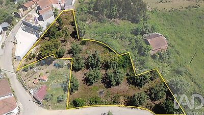 listing-picture-0