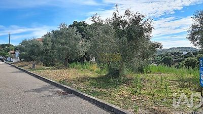 listing-picture-0