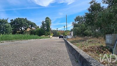 listing-picture-0