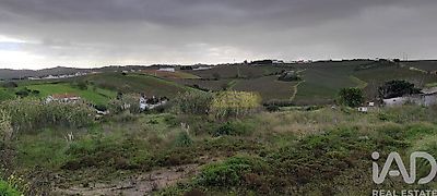 listing-picture-0