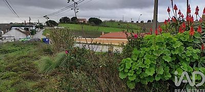 listing-picture-0