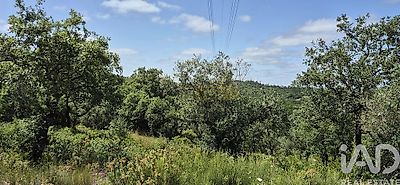 listing-picture-0