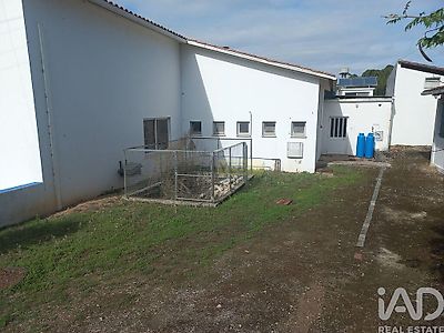 listing-picture-0