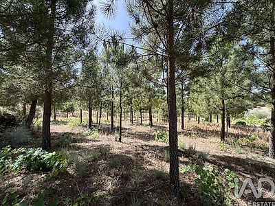 listing-picture-0