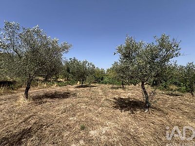 listing-picture-0