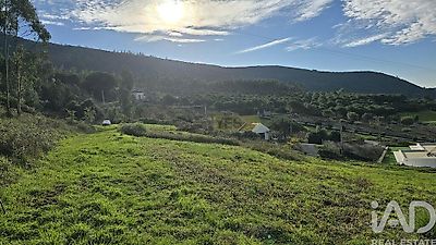 listing-picture-0