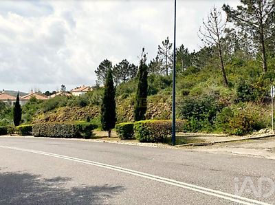 listing-picture-0