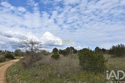 listing-picture-0