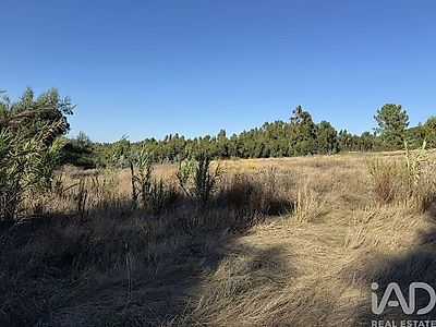 listing-picture-0