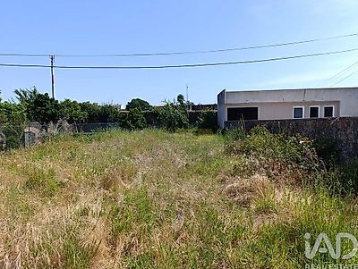 listing-picture-0