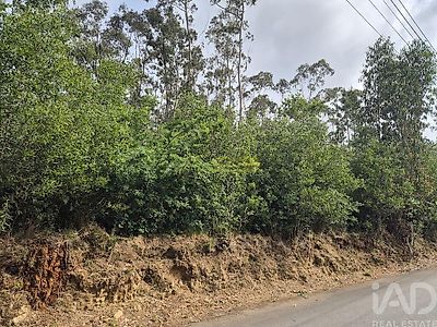 listing-picture-0