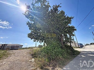 listing-picture-0