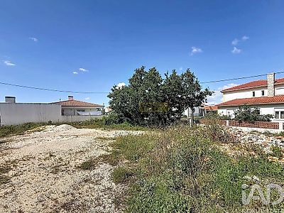 listing-picture-0
