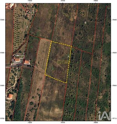 listing-picture-0