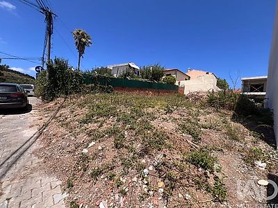 listing-picture-0