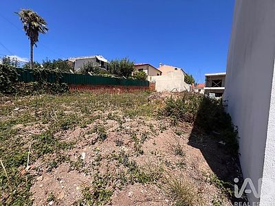 listing-picture-0