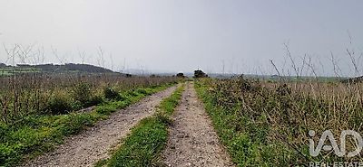 listing-picture-0