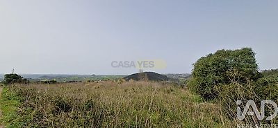 listing-picture-0