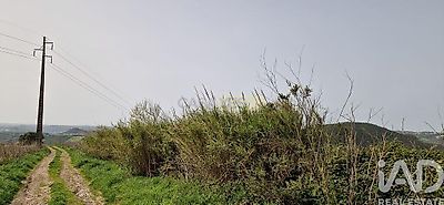 listing-picture-0