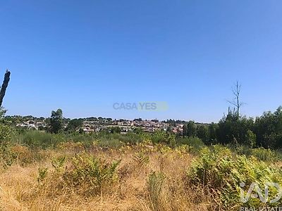 listing-picture-0