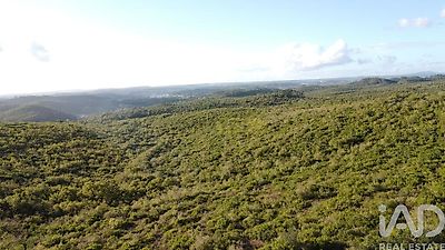 listing-picture-0