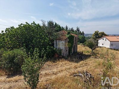 listing-picture-0
