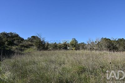 listing-picture-0