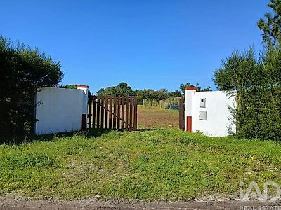 listing-picture-0