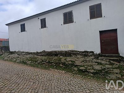 listing-picture-0