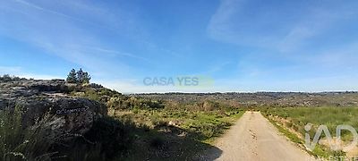 listing-picture-0