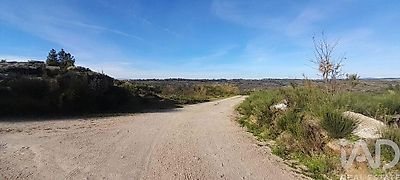 listing-picture-0