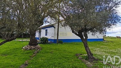 listing-picture-0
