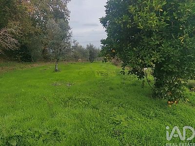 listing-picture-0