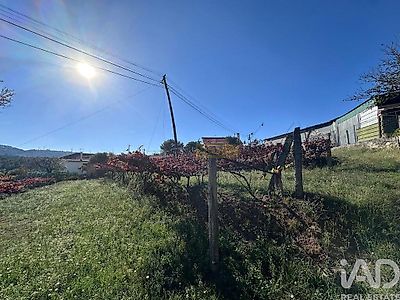 listing-picture-0