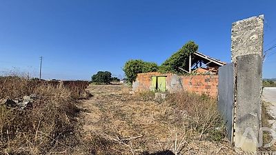listing-picture-0
