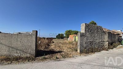 listing-picture-0