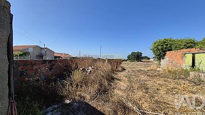 listing-picture-0