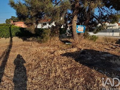 listing-picture-0