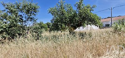 listing-picture-0