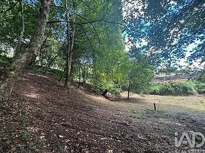 listing-picture-0