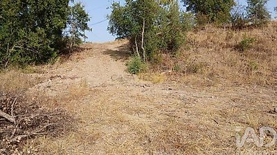 listing-picture-0