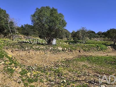 listing-picture-0