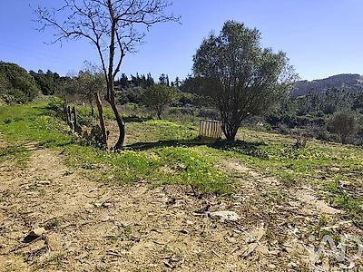 listing-picture-0