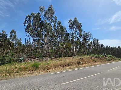 listing-picture-0
