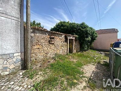 listing-picture-0