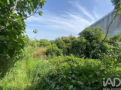 listing-picture-0