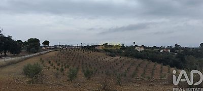listing-picture-0